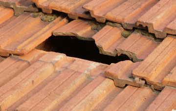 roof repair Ingleton